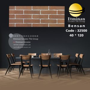 Bensan-32500-porcelain-40-120