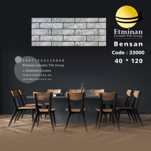 Bensan-33000-porcelain-40-120
