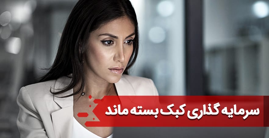 سازمان مهاجرتی حسام کاظمی