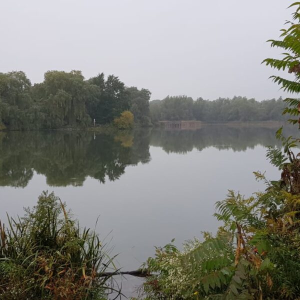 طبیعت کانادا